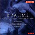 Danish National Symphony Orchestra (Dr Symfoniorkestret), Denmaaku Kokuritsu Hoso Choir - Brahms - Import CD