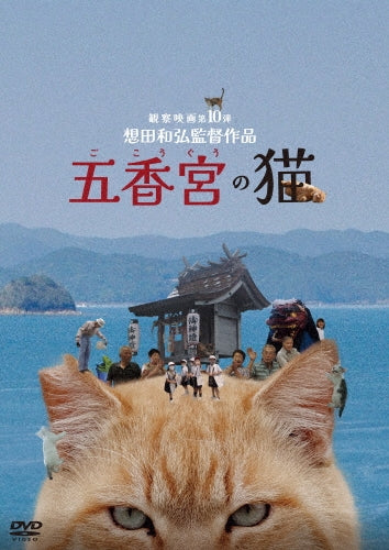 Movie - The Cats Of Gokogu Shirine - Japan DVD