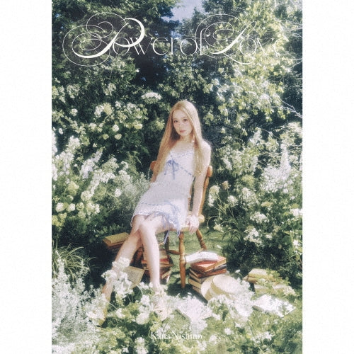 Nishino Kana - Power of Love - Japan CD+DVD+Goods Limited Edition