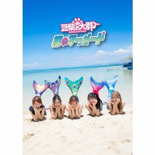 Mameshiba no Taigun - Hadaka No Mermaid - Japan CD + Blu-ray Disc + Photo Book Box Set Limited Edition