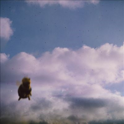 Pond - Stung! - Import CD