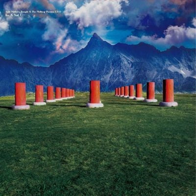 Acid Mothers Temple & The Melting Paraiso U.F.O. - In A Not C - Import Vinyl LP Record