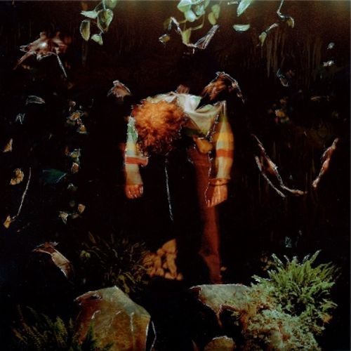 Cavetown - Worm Food - Import CD