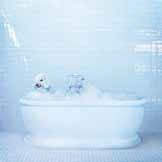 Frankie Cosmos - Vessel - Import LP Record