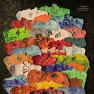Calexico 、 Iron & Wine - Years to Burn - Import LP Record