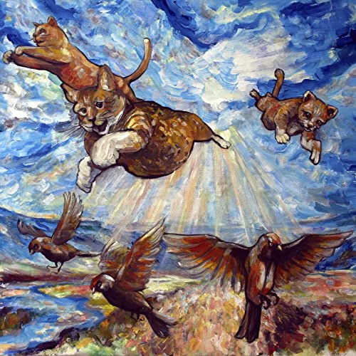 Have You Ever Seen The Jane Fonda Aerobic VHS? - Maine Coon<Colored Vinyl> - Import Vinyl LP Record Limited Edition