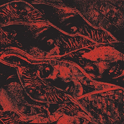 Vermin Womb - Retaliation - Import CD