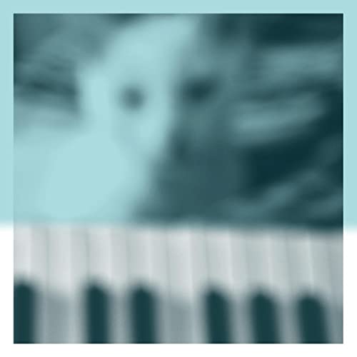 Peter Broderick - Piano Works, Vol. 1 - Import LP Record
