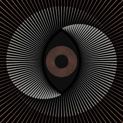 The Ocean - Holocene - Import LP Record