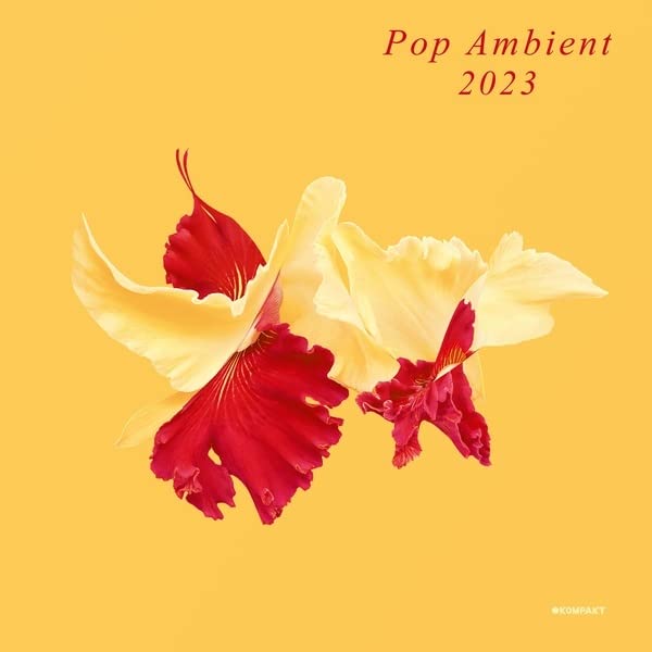 Various Artists - Pop Ambient 2023 - Import LP Record