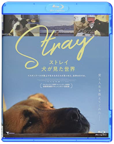 Movies & TV - Stray: The World as Seen by Dogs - Japan Blu-ray Disc
