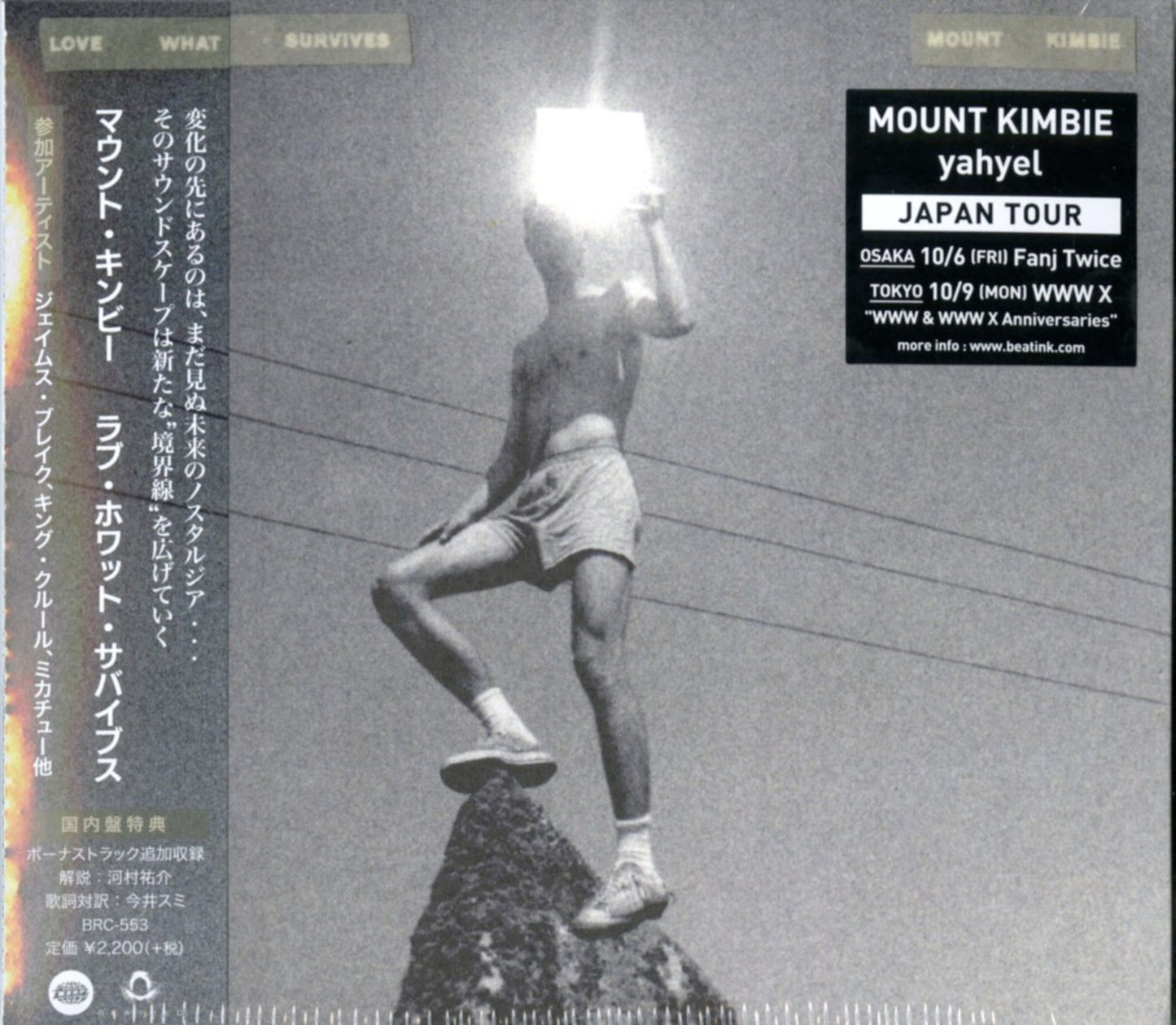 Mount Kimbie - Love What Survives - Japan CD