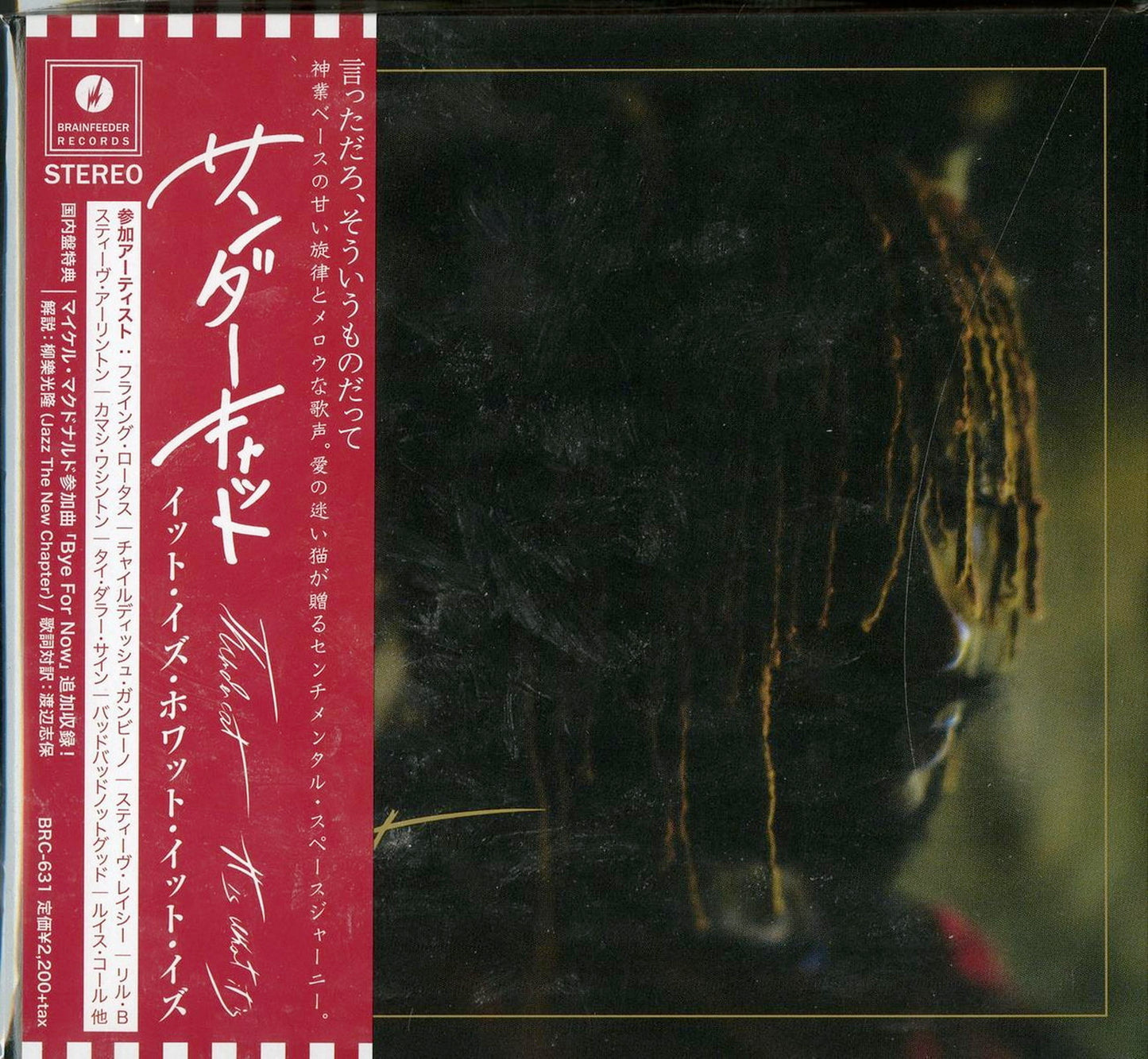 Thundercat - It Is What It Is - Japan CD Bonus Track