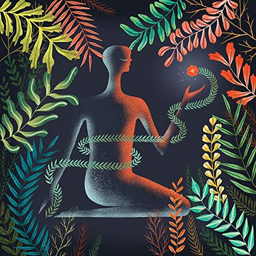 Loma - Don'T Shy Away - Import CD