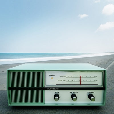 THE FUZZ ACT - Signal - Japan LP Record