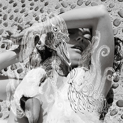 Bjork - Vespertine - Import Japan Ver LP Record