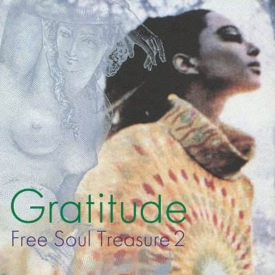 Various Artists - Gratitude - Suburbia Meets ULTRA-VYBE "Free Soul Treasure 2" - Japan Vinyl LP Record