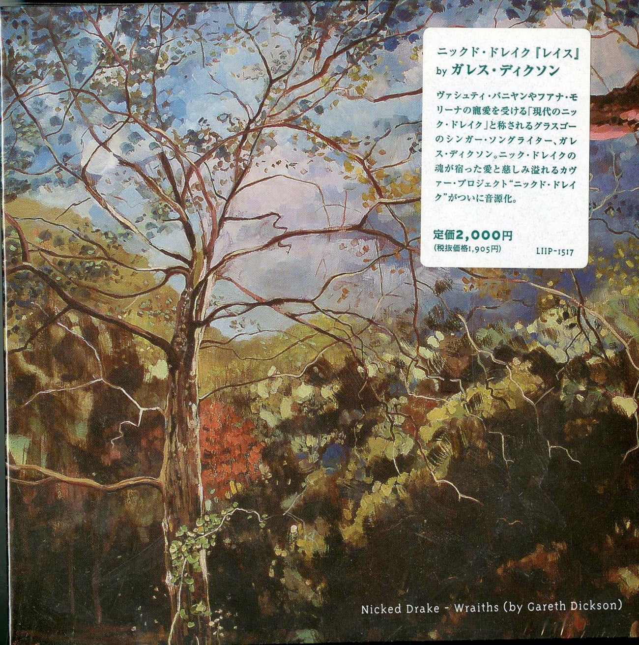 Gareth Dickson - Nicked Drake - Japan CD