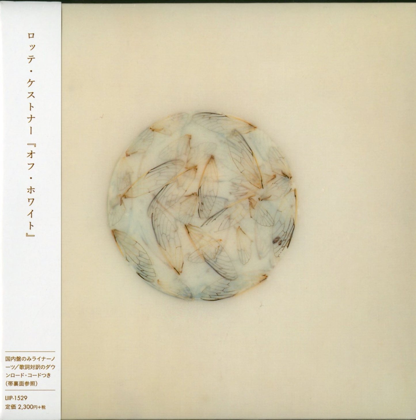 Lotte Kestner - Off White - Japan CD