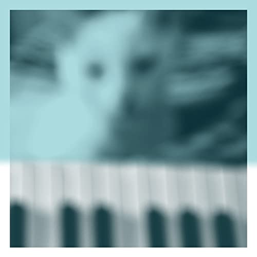 Peter Broderick - Piano Works Vol.1 (Floating In Tucker`s Basement) - Import Japan Ver CD