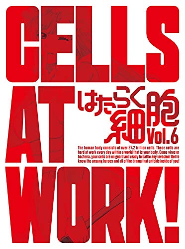 Animation - Cells At Work! 6 - Japan DVD + CD Limited Edition