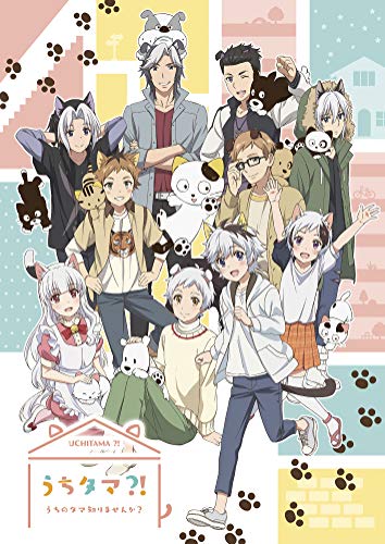 Animation - Uchitama?! - Uchi no Tama Shirimasenka? - 6 - Japan DVD Limited Release