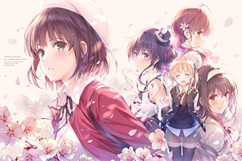 Animation - Saenai Heroine no Sodatekata Fine (Saekano: How to Raise a Boring Girlfriend Fine) - Japan Blu-ray Disc