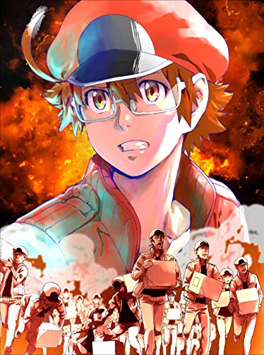 Animation - Hataraku Saibo BLACK 1 - Japan Blu-ray Disc