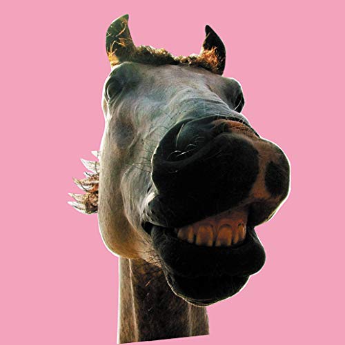 The High-Lows - Do!! The Mustang - Japan Mini LP CD Limited Edition