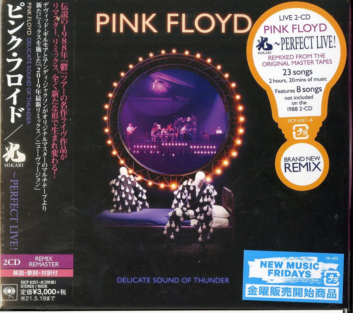 Pink Floyd - Delicate Sound Of Thunder - Japan 2 CD