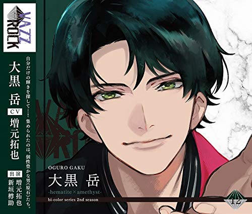 Vazzrock Bi-Color Series - Vazzrock Bi-Color Series(12) Gaku Oguro-Hematiteツ×Amethyst-