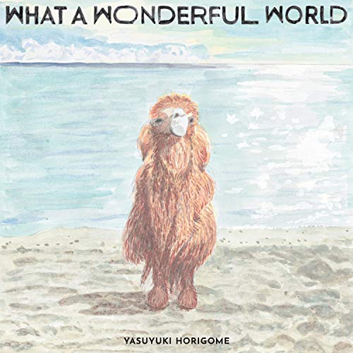 Yasuyuki Horigome - What A Wonderful World - Japan LP Record