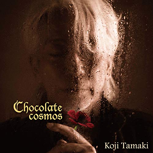 Koji Tamaki - Chocolate Cosmos - Japan LP Record