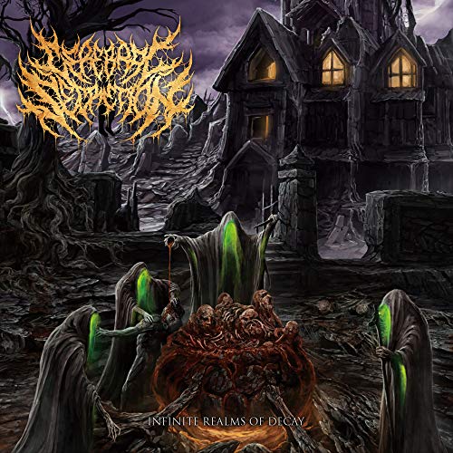Cerebral Secretion - Infinite Realms Of Decay - Japan CD