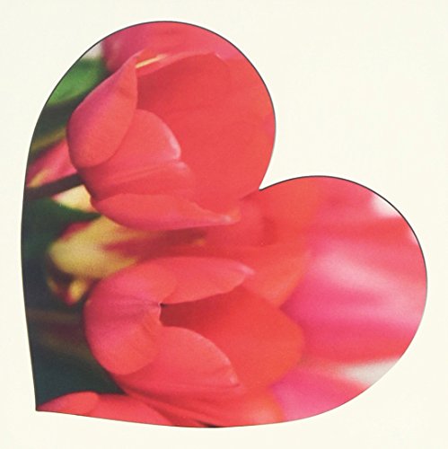 DJ TORA - TAKAMI BRIDAL presents Love Pop -KISS OF LIFE-mixed by DJ TORA - Japan CD