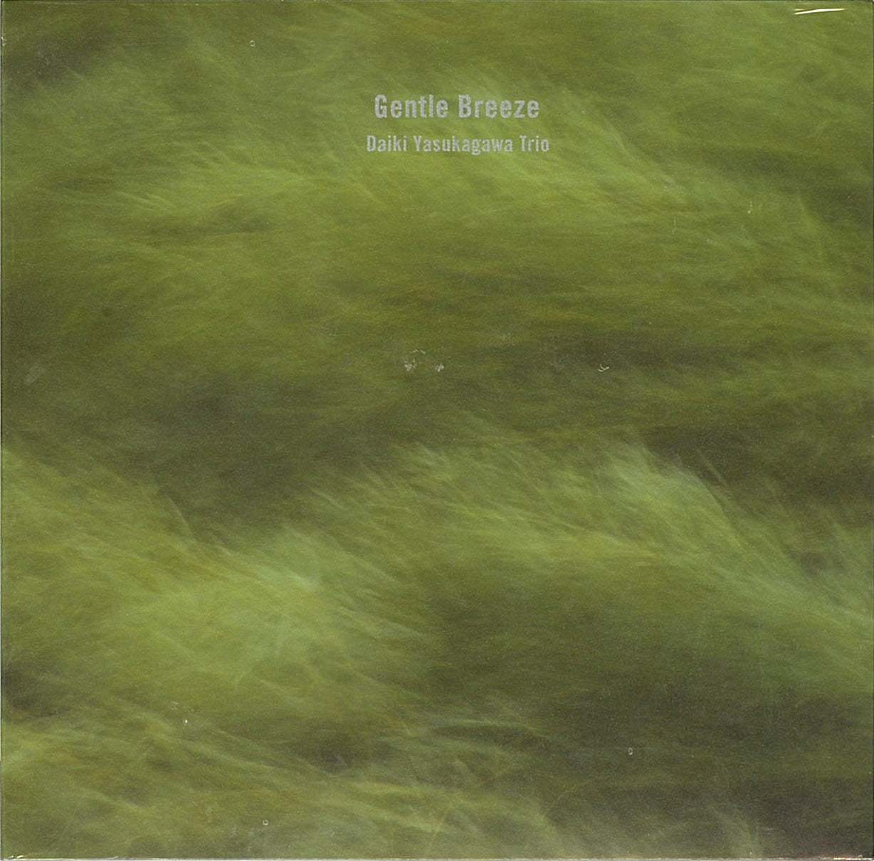 Daiki Yasukagawa - Gentle Breeze - Japan CD