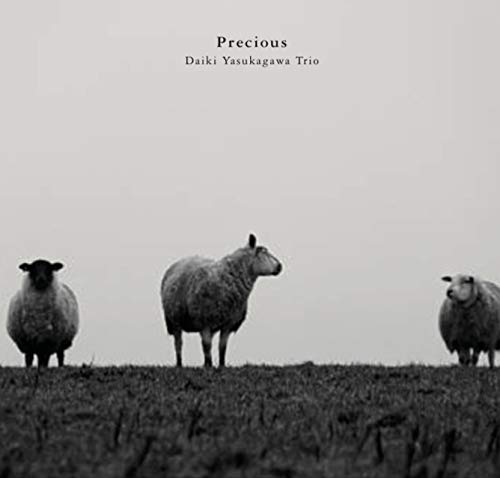 Daiki Yasukagawa - Precious - Japan CD