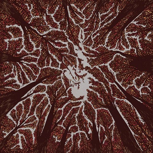 Trash Boat - Crown Shyness - Japan CD
