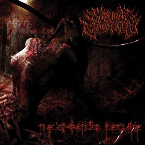 Suicidal Causticity - The Spiritual Decline - Japan CD