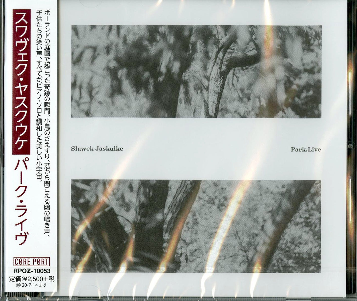 Slawek Jaskulke - Flying Live - Japan CD