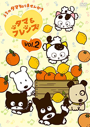 i Ris - I RIS 5TH LIVE TOUR 2019 -FEVER - Japan DVD