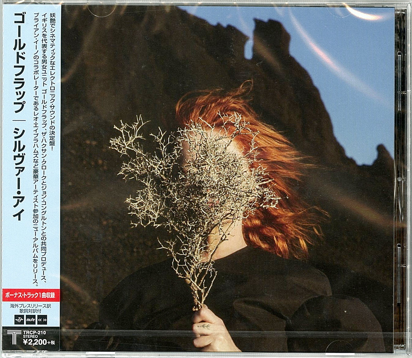 Goldfrapp - Silver Eye - Japan CD Bonus Track