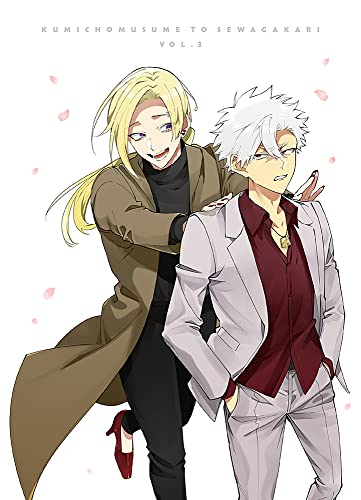 Animation - Kumicho Musume to Sewa Gakari (The Yakuza's Guide to Babysitting) Vol.3 - Japan Blu-ray Disc