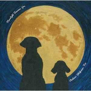 Vladimir Shafranov Trio - Moonlight Becomes You‐Japan LP Record