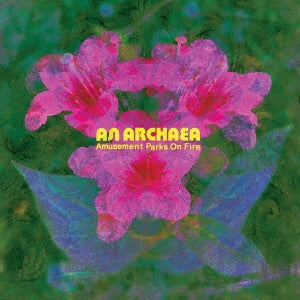 Amusement Parks On Fire - An Archaea - Import Japan Ver LP Record