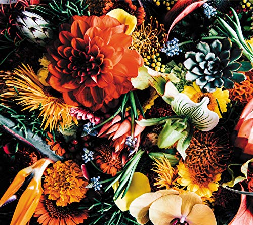 Salvalai - Variety - Japan CD