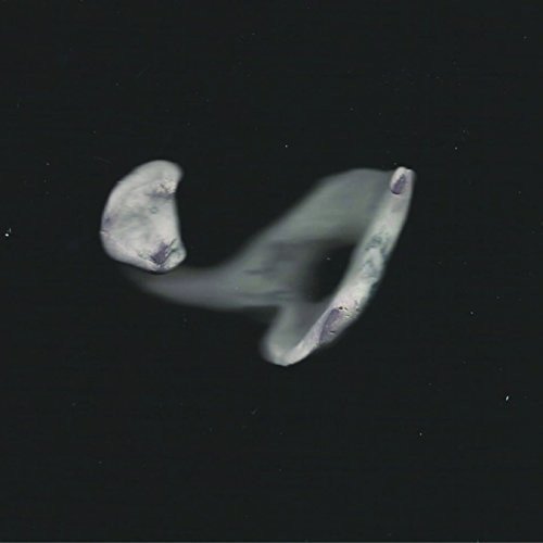 Detlef - Detlef Ep - Japan CD