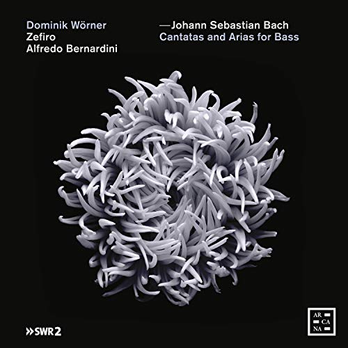 Bach (1685-1750) - Cantata, 56, 82, 158, : Worner(B)Bernardini / Zefiro Etc +arias - Import CD