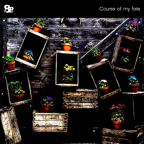 Game Music - Paradigm Paradox Main Theme Song: Course Of My Fate - Japan CD