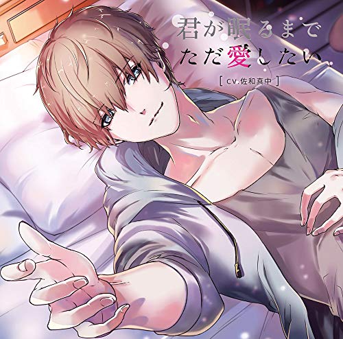 Kimi Ga Nemuru Made Tada Aishitai - S/T - Japan CD
